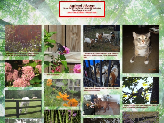photos_animals screenshot