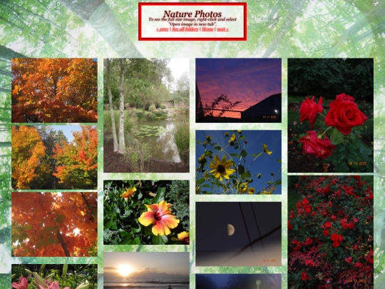 photos_nature screenshot