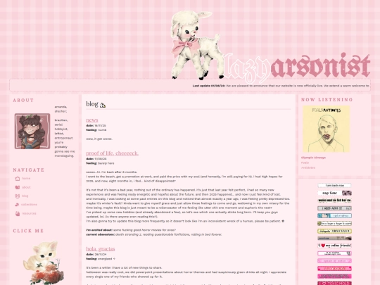 blog screenshot