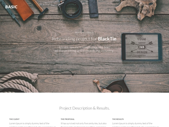 single-project screenshot
