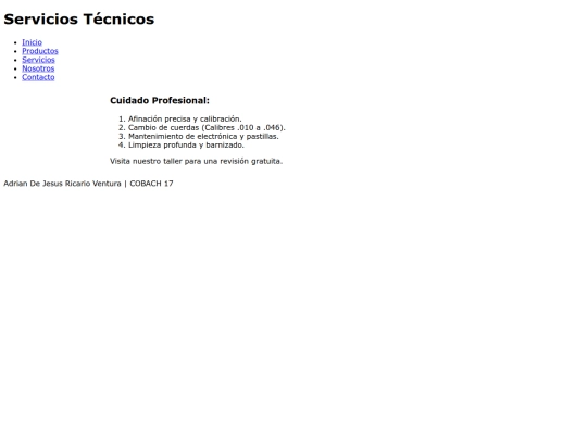 servicios screenshot