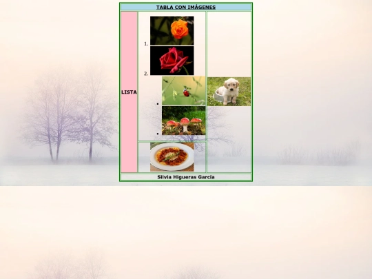 imágenes/tablaconimágenes screenshot