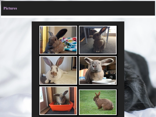 pictures screenshot