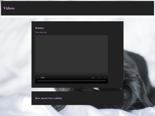 videos screenshot