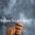 cocosbakery.neocities.org avatar
