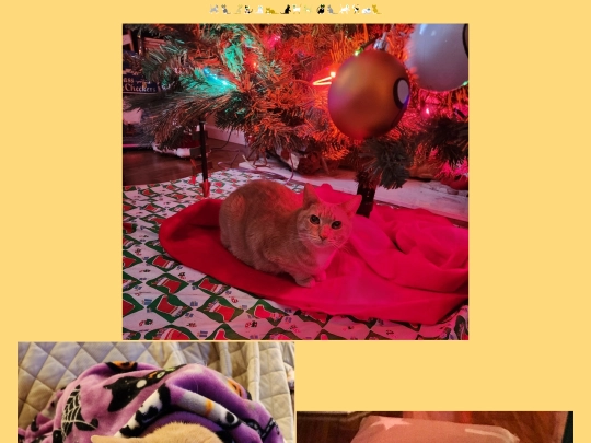 gallery2 screenshot