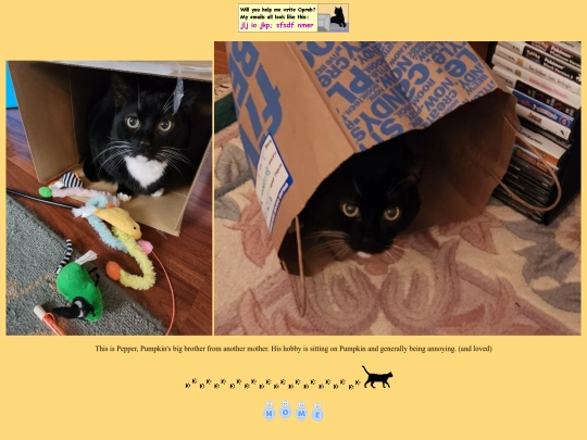 pepper screenshot