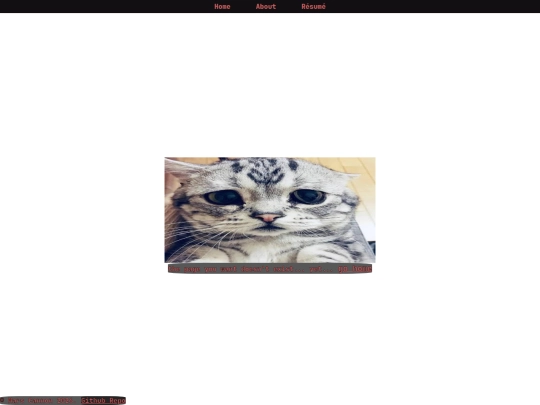 404 screenshot