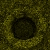 Squmme's Corner avatar