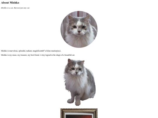 mishko screenshot