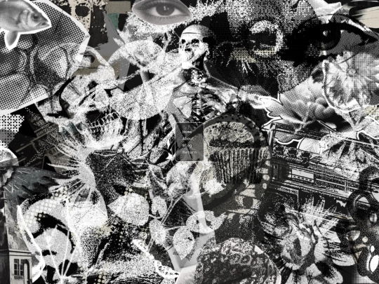 collage screenshot