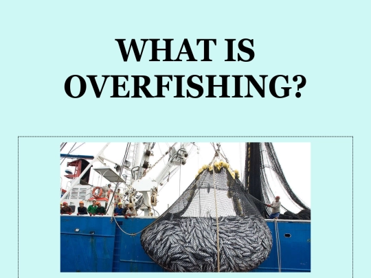 articles/Overfishing screenshot