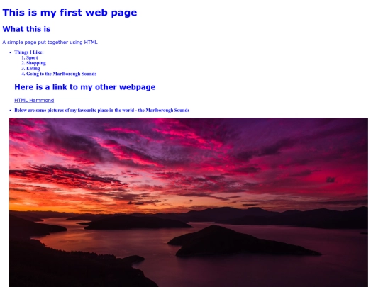 ellarose screenshot