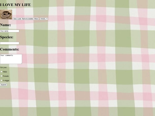 firstpractice screenshot