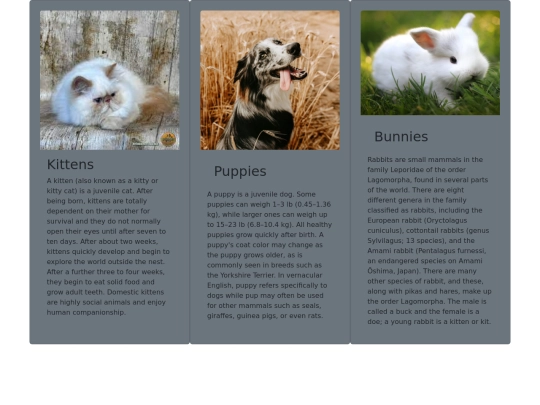 Bootstrap 5/Grid(22)(13) screenshot