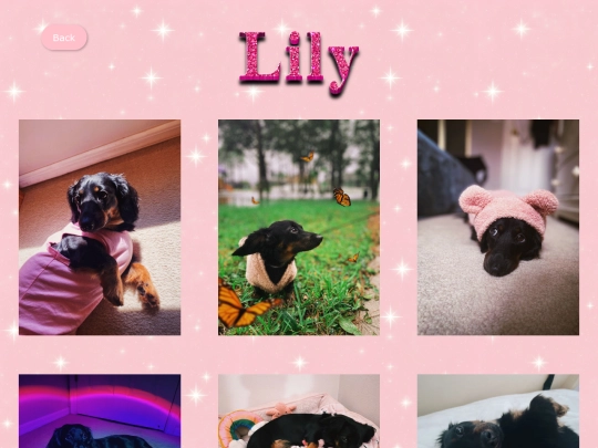 petpics screenshot