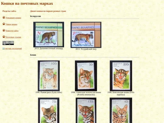 wild-cats screenshot