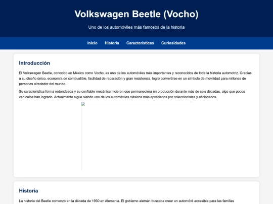 proyecto paginas web/beetle screenshot