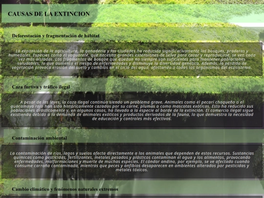 index2 screenshot