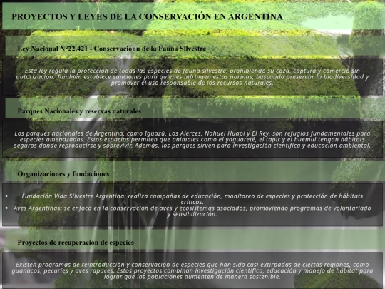 index4 screenshot