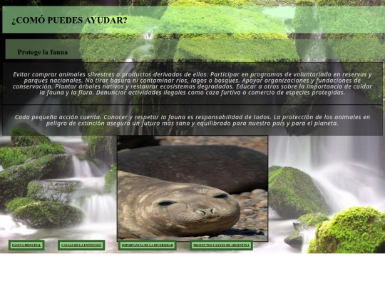 index5 screenshot