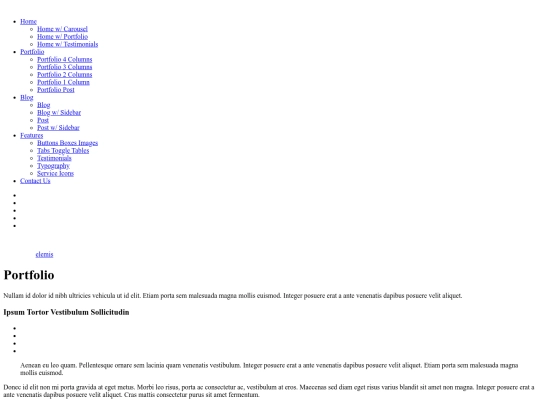 portfolio-post screenshot