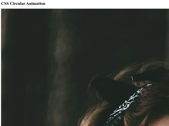 mycss/circle/circle screenshot