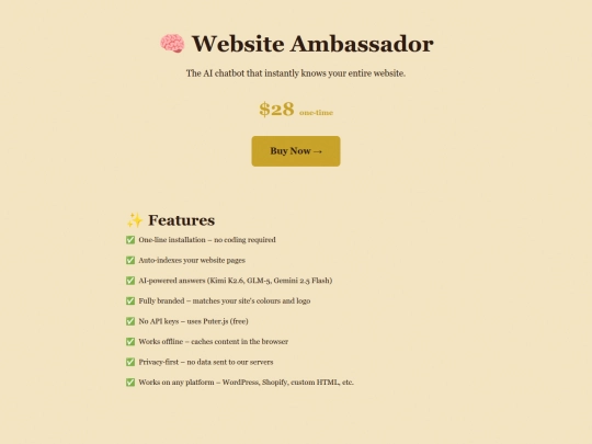 store/website-ambassador screenshot