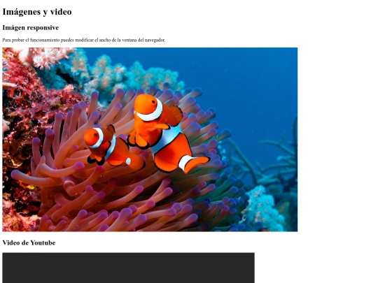 modulo2/ejercicio3 screenshot