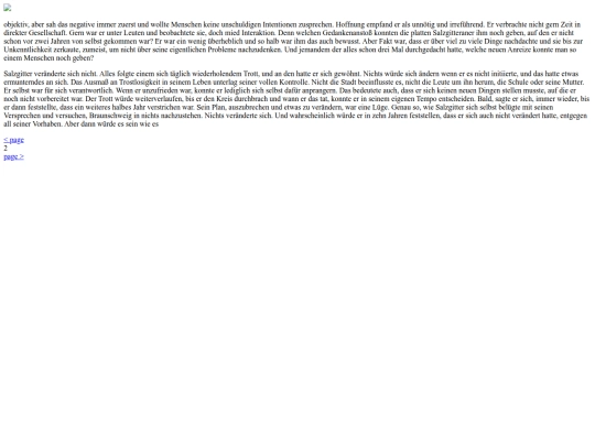 iframe_html/stories/old/falschfahrer2 screenshot