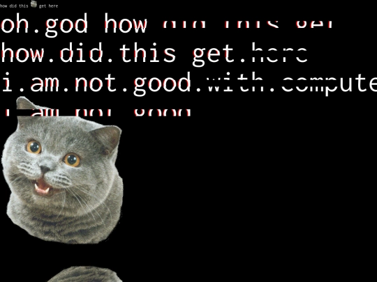 cursed screenshot