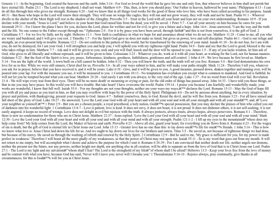 Bibleverses718671 screenshot
