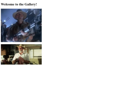 Gallery screenshot