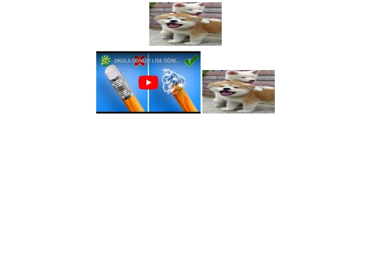 PRUEBA screenshot