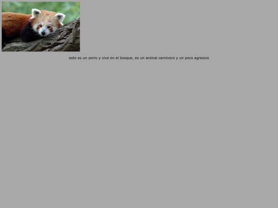 practica5 screenshot