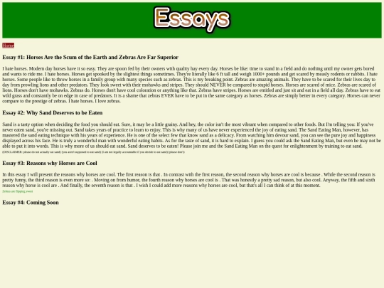 essays screenshot