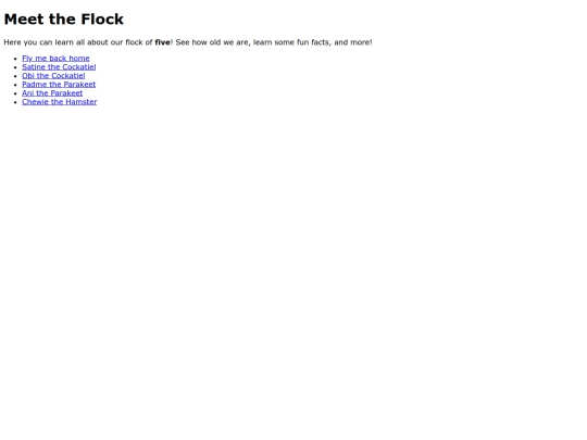 Flock/flockmeet screenshot