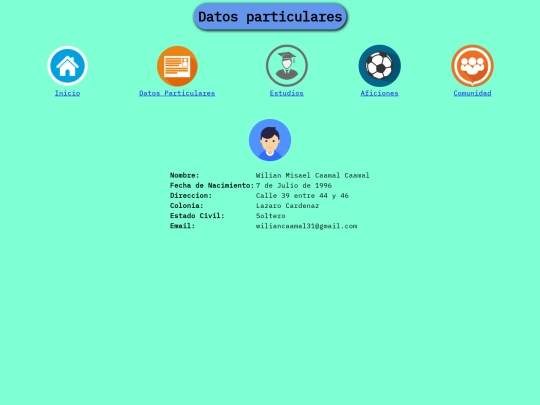 CV con CSS/datos screenshot