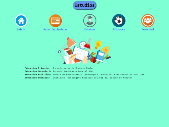 CV con CSS/estudios screenshot