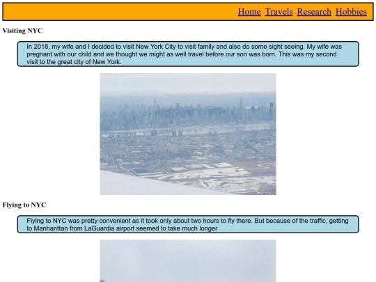 nyc screenshot