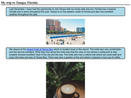 tampa screenshot