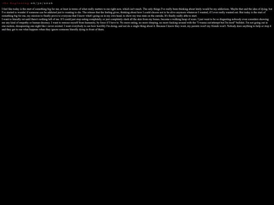 diaryentries screenshot