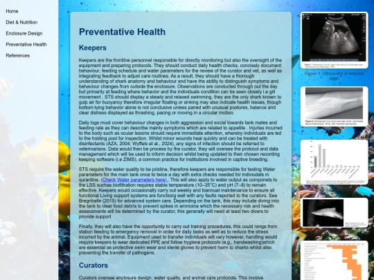 health screenshot