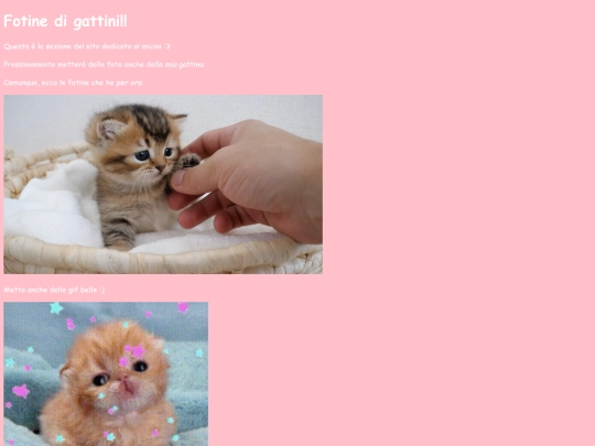 micibelly screenshot