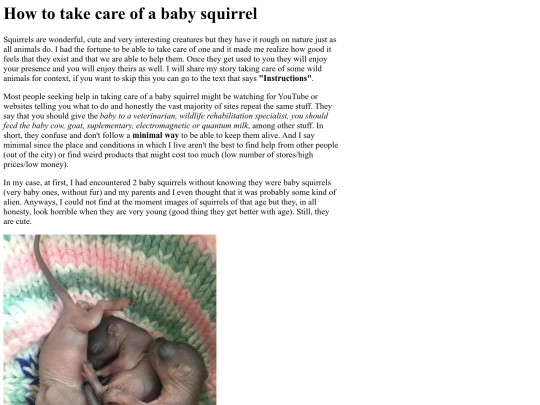 misc/squirrel screenshot
