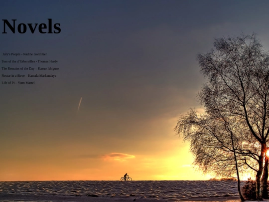 Novels screenshot
