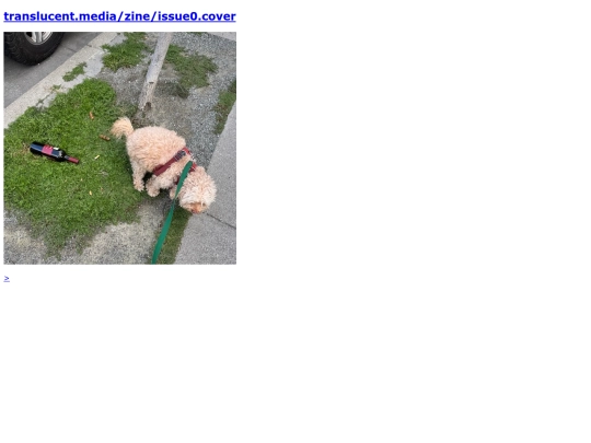 issue0 screenshot