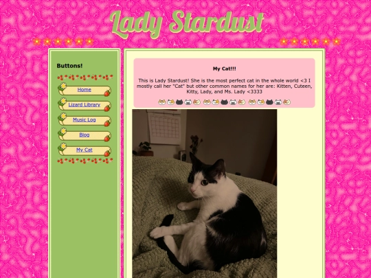 Lady screenshot