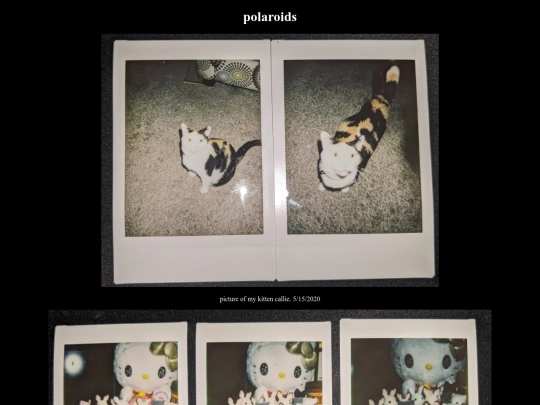 polaroid screenshot