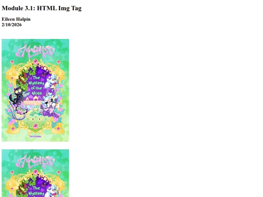 module3-1 screenshot
